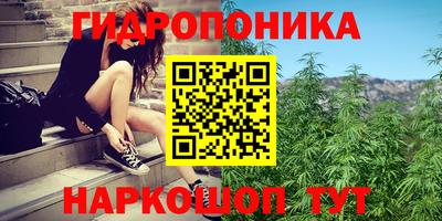 мяу мяу мука Комсомольск-на-Амуре