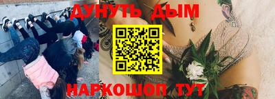 мяу мяу мука Комсомольск-на-Амуре