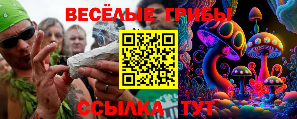 Псилоцибиновые грибы Magic Shrooms Конаково