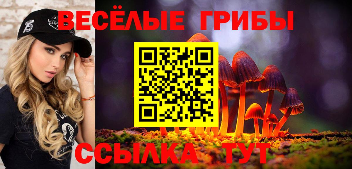 Галлюциногенные грибы MAGIC MUSHROOMS  Псилоцибиновые грибы Magic Shrooms  Вход с VPN  Конаково 